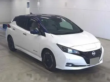 2024 NISSAN LEAF