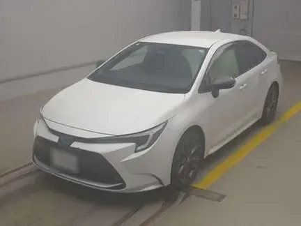 2023 TOYOTA COROLLA