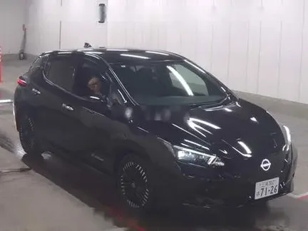 2022 NISSAN LEAF