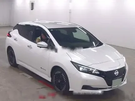 2022 NISSAN LEAF