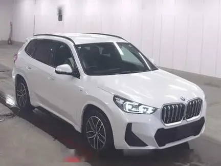 2023 BMW IX1