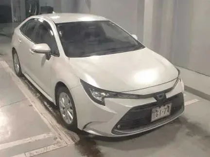2023 TOYOTA COROLLA