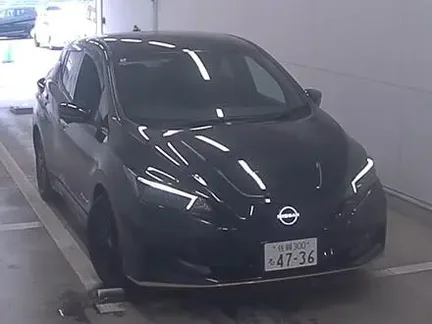 2024 NISSAN LEAF
