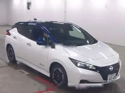 2022 NISSAN LEAF