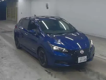 2024 NISSAN LEAF
