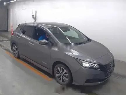 2022 NISSAN LEAF