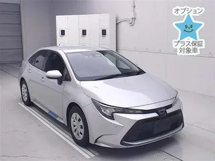 2023 TOYOTA COROLLA