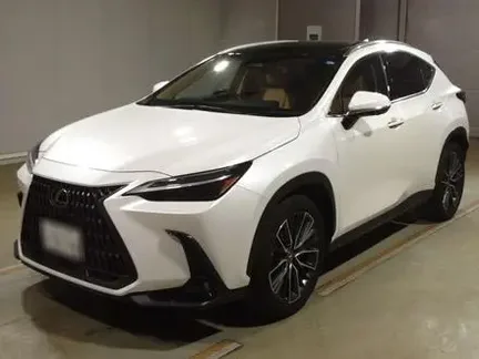 2023 LEXUS NX