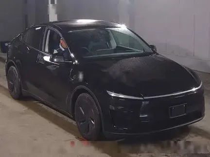 2025 TESLA MODEL Y