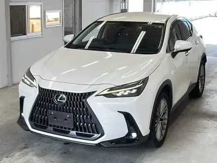 2022 LEXUS NX