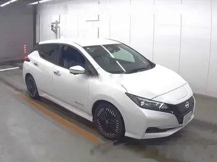 2024 NISSAN LEAF