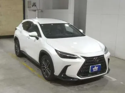 2023 LEXUS NX