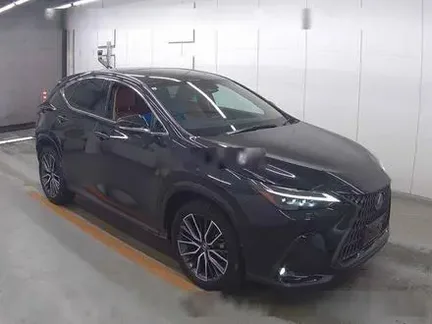 2023 LEXUS NX