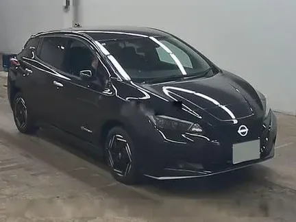 2024 NISSAN LEAF
