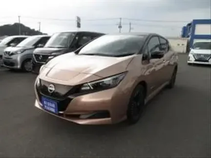 2022 NISSAN LEAF