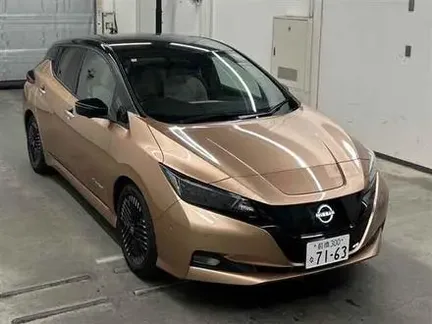 2022 NISSAN LEAF