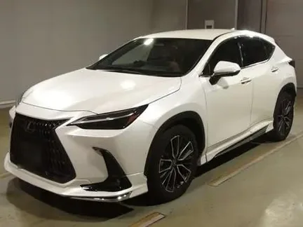 2023 LEXUS NX