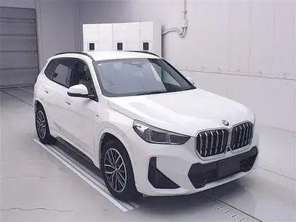 2023 BMW X1