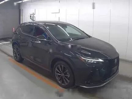 2023 LEXUS NX